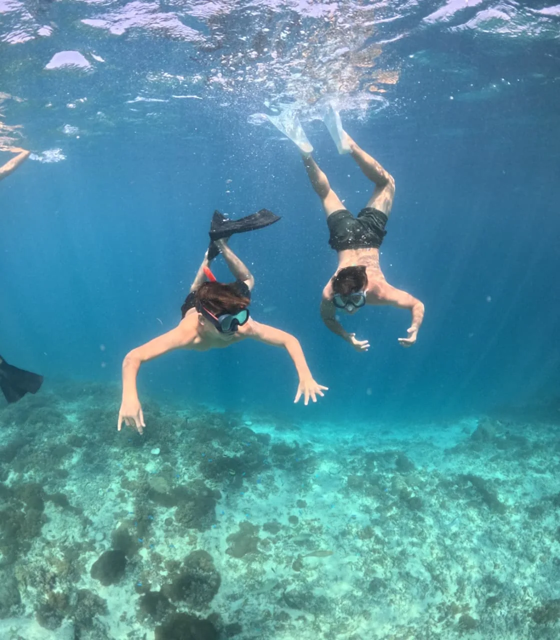 Gili Trawangan Blue Coral & Turtle Point Snorkeling (3 Hours)